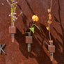 SMART VASE - CUBES (set of 3, dark)