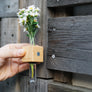 SMART VASE - CUBE (bright)