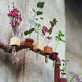 SMART VASE - 2 COMBOS (set of 2, mixed)