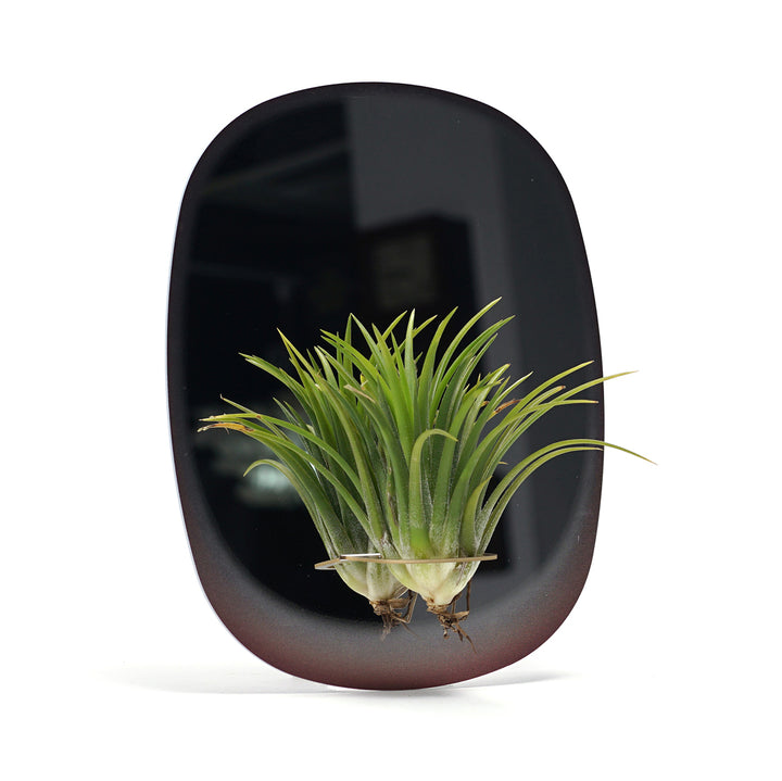 PLANT MIRROR - Rectangle, Gold