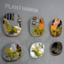 PLANT MIRROR - Rectangle, Blue