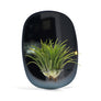 PLANT MIRROR - Rectangle, Blue