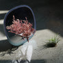 PLANT MIRROR - Square, Blue