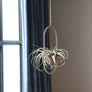 Plant Hanging Mobile, Silver - Oval