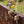 SMART VASE - 2 COMBOS (set of 2, mixed)