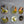 PLANT MIRROR - Rectangle, Gold