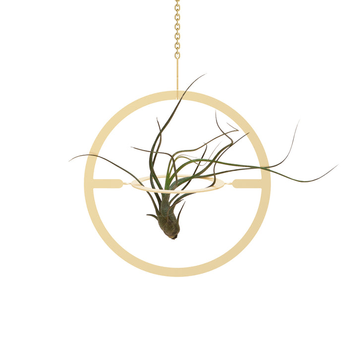 Plant Hanging Mobile, Gold - Circle