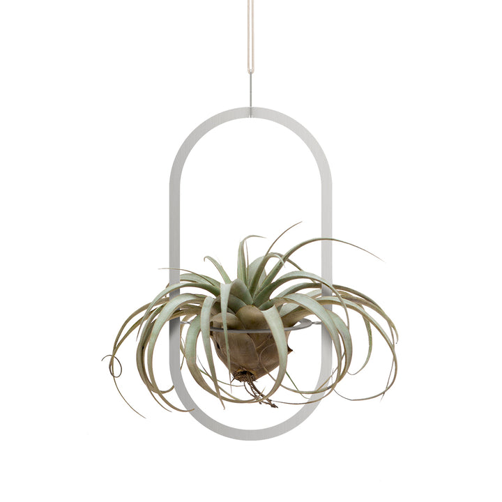 Plant Hanging Mobile, Silver - Oval