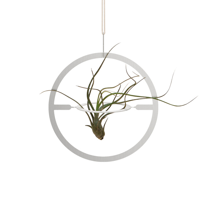 Plant Hanging Mobile, Silver - Circle